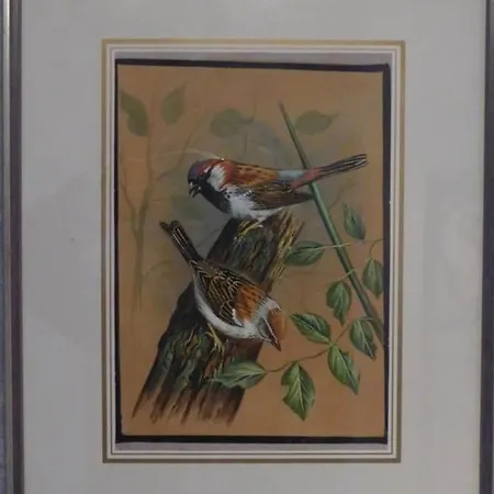 Appartement Am Vogelwald