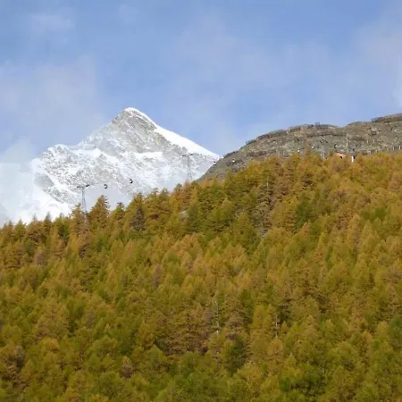 Am Vogelwald Saas Fee